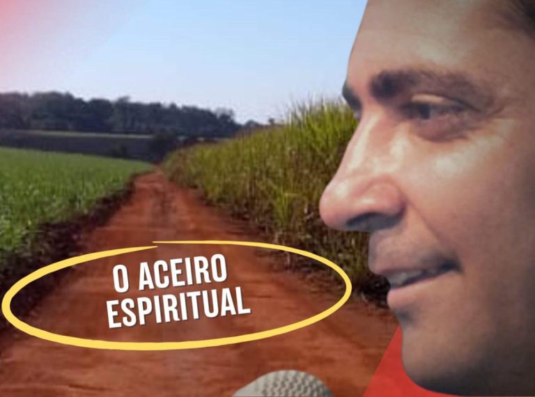 Read more about the article O ACEIRO